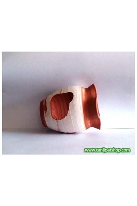 TROPİKAL Balık Yuvası (küçük) No: 06