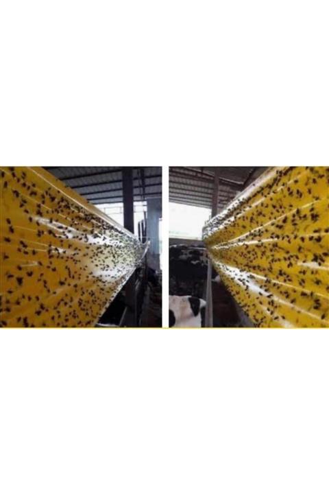 Egesan Karasinek Tuzağı Sinek Bandı Çiftlikler Için Farmakill