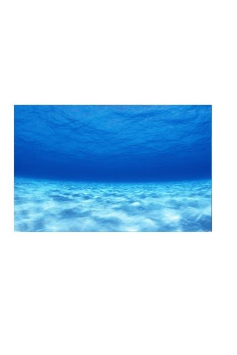 Kanki Pet 70 Cm Akvaryum Arka Fon Yapıştırma Kp7045003 ( 70x45 Cm )