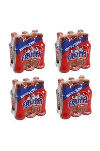 Uludağ Frutti Nar Aromalı Soda 24x200ml