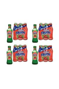 Uludağ Frutti Karpuz-çilek Soda 24x200ml