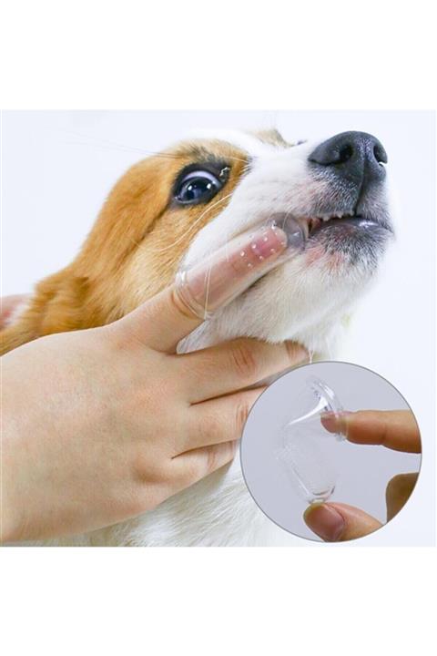 BARANSELLS Kedi Ve Köpek 2'li Parmak Diş Fırçası