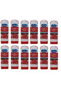 Ocean Spray Cranbery Classic Turna Yemişi Meyve Suyu X 12 Adet