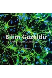 Tübitak Yayınları Bilim Güzeldir - Mikroskop Altında Insan Vücudu