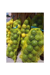 Uzunlar Fidancılık Limon Bahçesinden 2 File Limon 6 kg