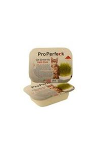 GND PET Pro Perfeck Kedi Çimi