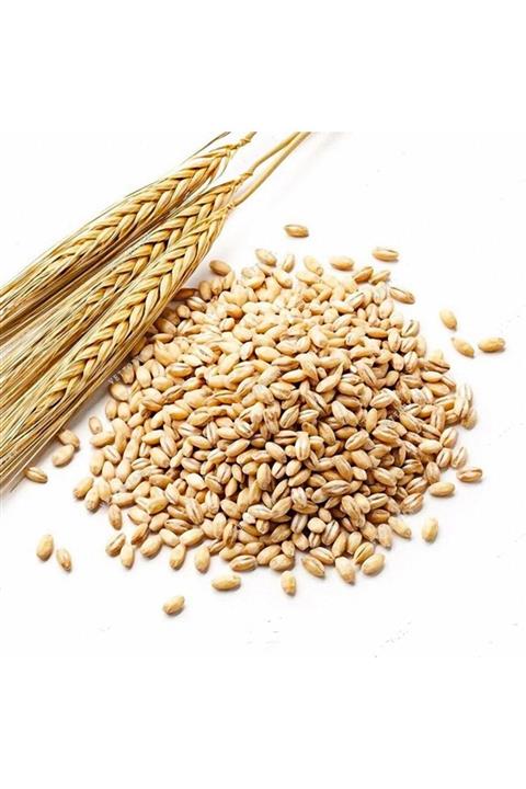 YÖRESEL PİYOLAJ GIDA Yemlik Buğday 1 kg