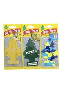 Little Trees Forest Fresh Orman Kokusu ve Tazeliği Aromalı Asma Oto Kokusu