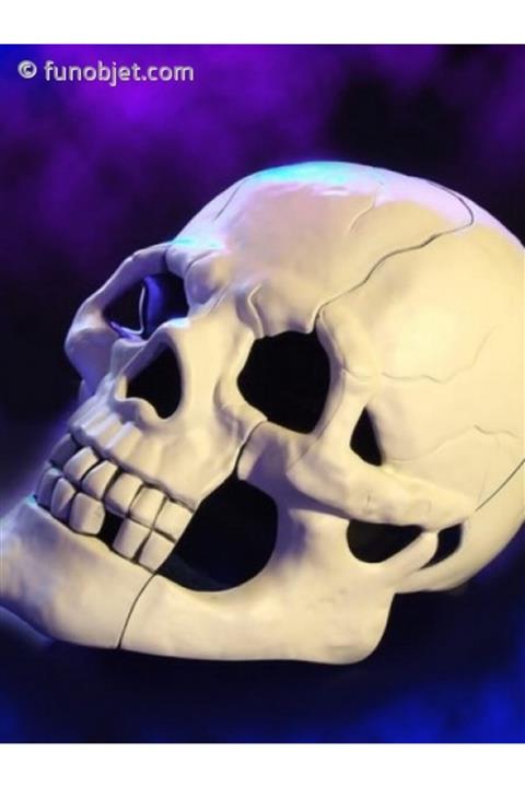 yakpen Ev - Ofis - Dekorasyon -ilğinç Hediyelik Kuru Kafa - Iskelet Kafatası Telefon