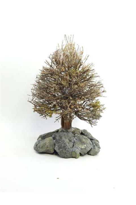 Sakura Çam Ağacı Figürü 'm'