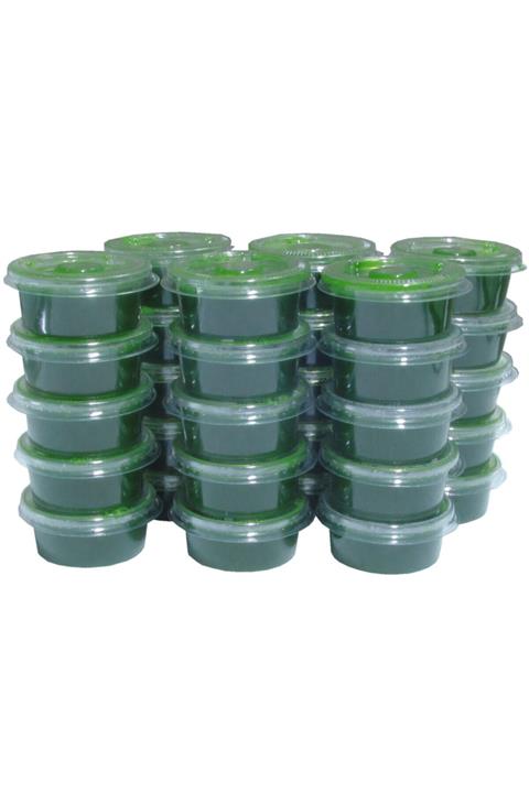 SMOOTOX Dondurulmuş Arpa Çimi Suyu (30 Adet)