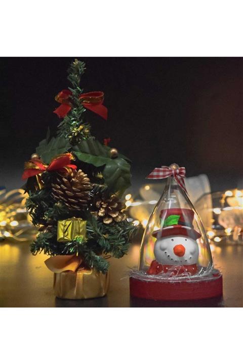 GreenSeeHediye Yılbaşı Ağacı - Kardan Adam Cam Fanus