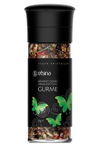 Efsina Baharat Çeşnili Himalaya Tuzu 65 g