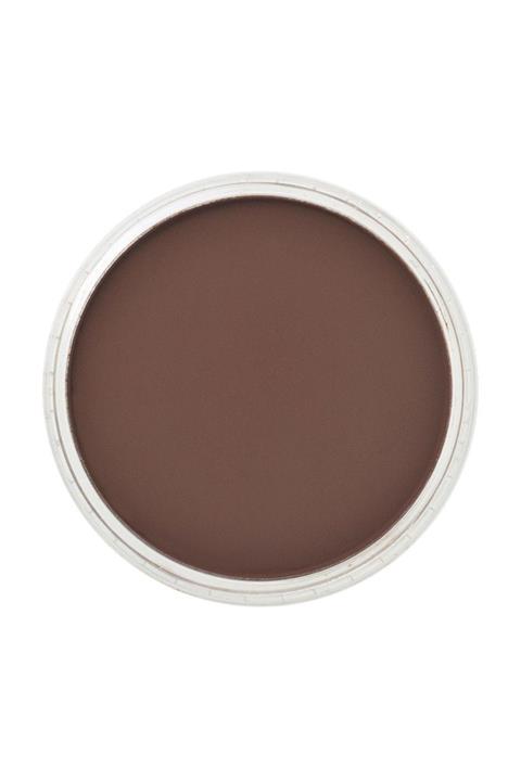 Panpastel No:380.1 Red Iron Oxide Extra Dark