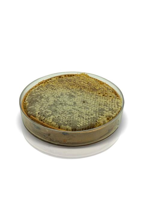 Karlıova Karakovan Balı