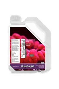 ReeFlowers Ionic Balancer-trace Elements-ballingset Element 3000 ml