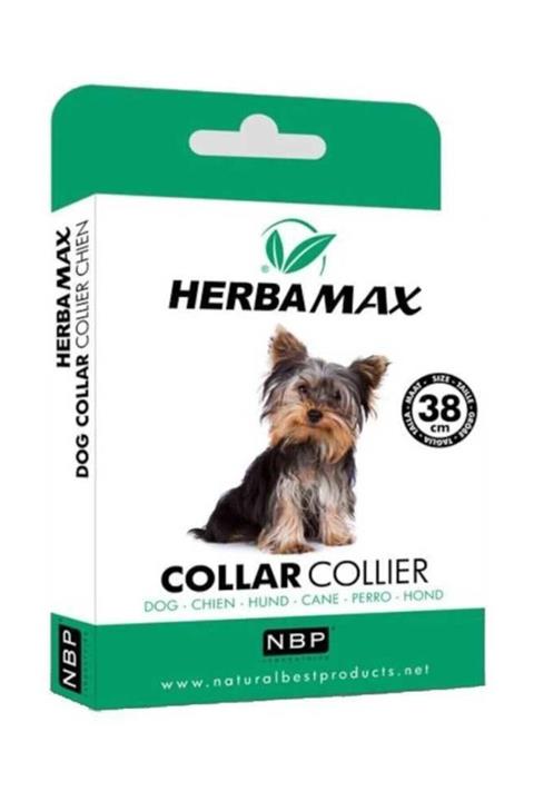 BARANSELLS Pire Dış Parazit Kene Tasması - 38 Cm