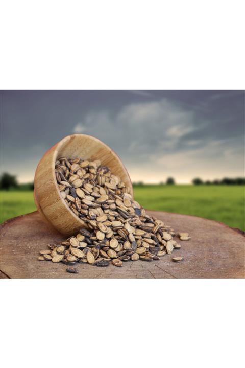 KAVLAK KURUYEMİŞ Karpuz Çekirdeği 500 Gr