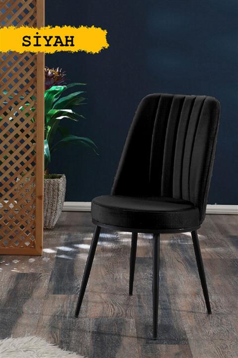 MYMASSA Gold Sandalye Siyah - Metal Siyah Ayaklı