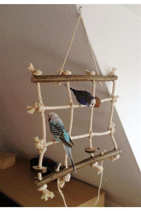 Ahşap Pusula Doğal Kuş Oyun Parkı Hamak