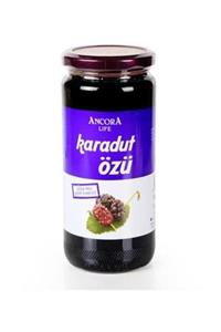 ANCORA LİFE Karadut Özü 640 Gr