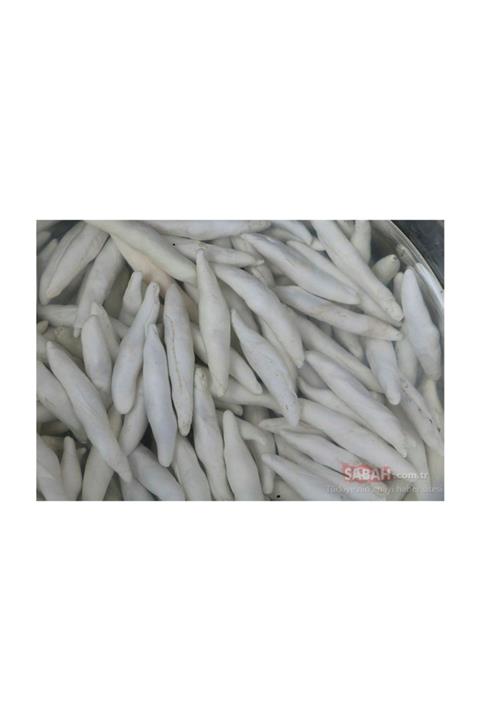 Akpınar KENGER SAKIZI DOĞAL SAKIZ 5 ADET TAZE YENİ MAHSUL