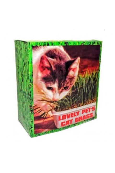 Badem10 Lovely Pets Kedi Çimi