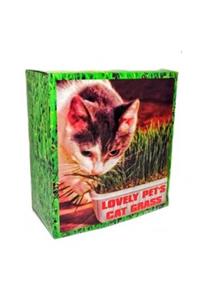 Badem10 Lovely Pets Kedi Çimi