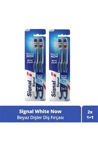 Signal White Now Beyaz Dişler Diş Fırçası 1+1 X 2 Adet