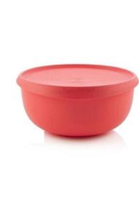 Tupperware Yonca Saklama Kabı 4.3 Lt Taşıma