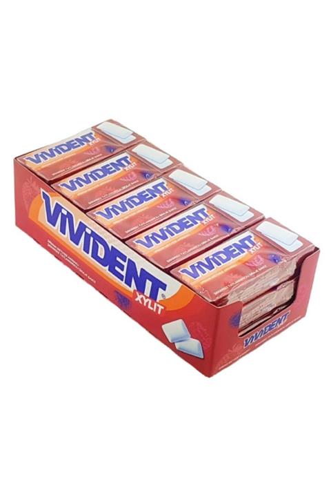 Vivident Solebox Orman Meyve(Mini)_15 Adet * 12.6gr