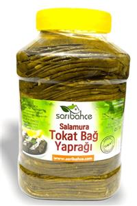 Sarıbahçe Tokat Asma Yaprağı 5 kg