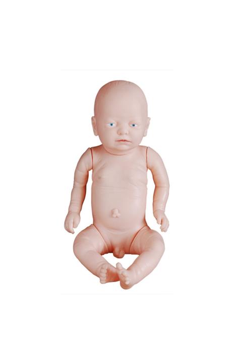 Anatomia Yenidoğan Bebek Modeli 52 cm