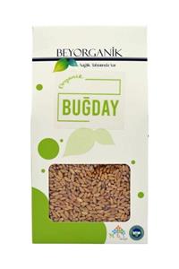 BEYORGANİK Buğday 400 Gr Kutu