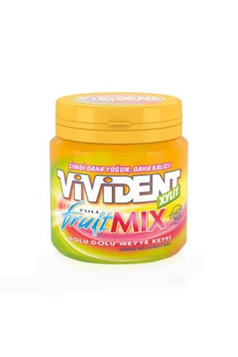 Vivident Xylit Fruit Mix Xylit Mega Bottle 10 X 96 G