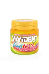 Vivident Xylit Fruit Mix Xylit Mega Bottle 10 X 96 G