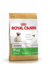 Royal Canin Pug Irkı Junior Yavru Köpek Maması 1,5 kg