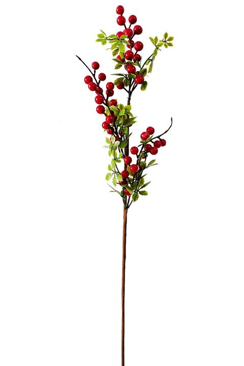 Hediye Vitrini Yapay Çiçek Yapay Kokina Dalı Uzun Kokina Çiçeği Uzun Vazo Çiçeği 1 Adet 75 Cm