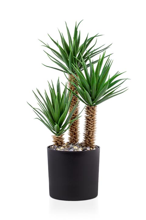 Çiçekmisin Siyah Saksıda Üç Dal Yapay Kaktüs Aloevera