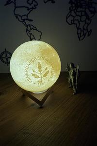 MUCC Fenerbahçe Fotoğraflı 3d Dekoratif Ay Lambası Gece Lambası Moon Lamp Standlı Pilli(13CM)