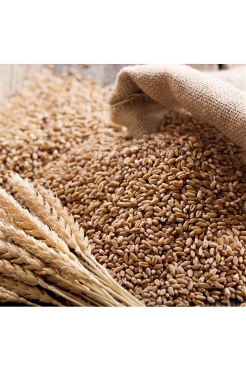 Kuru Mahsul Aşurelik Buğday (DEN) 1000g