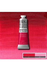 Winsor Newton Winsor&newton Winton Yağlı Boya 37ml Permanent Rose 502 (49)