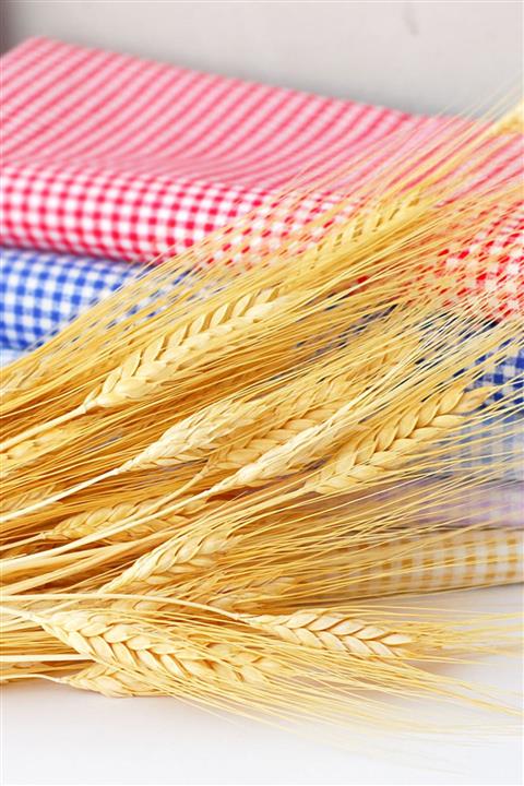 Funbou Kuru başak dalları