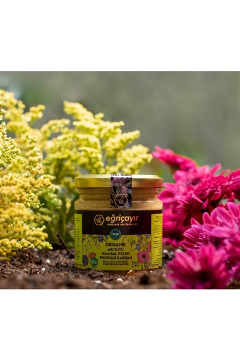 Eğriçayır Organik Arı Sütü Bal Polen Propolis Karışımı 240 gr