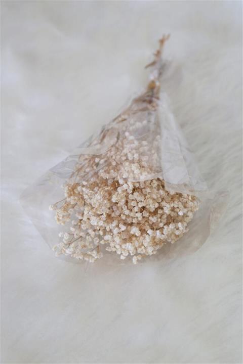 Alina Aksesuar Kuru Çiçek Şoklanmış Cipso Doğal