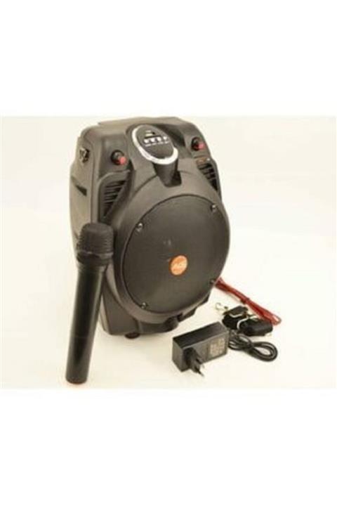 ARDIÇ MÜZİK MARKET Ace Audio 30 Watt Amfi