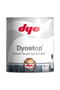 Dyo Rutubet Nem Küf Boyası 2.5 Lt