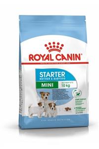 Royal Canin Mini Starter Küçük Irk Anne Ve Yavru Köpek Maması 3 Kg