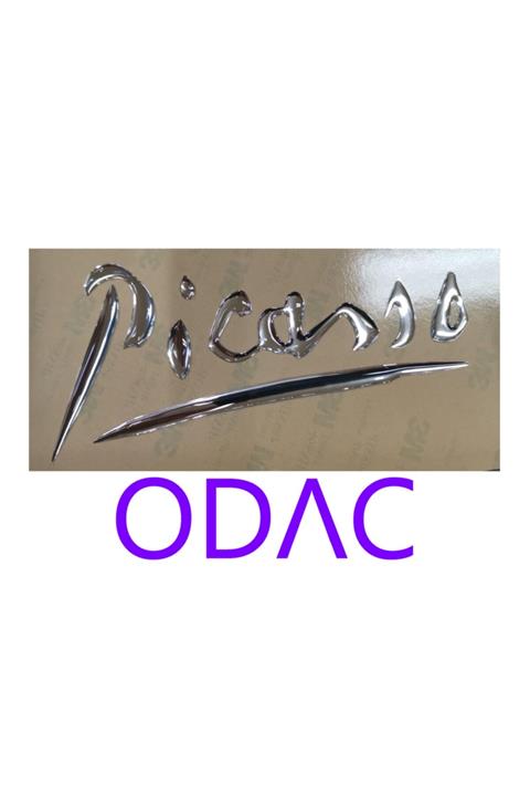 ODAC Citröen Picasso Gri Dolgulu Çamurluk Yazısı -