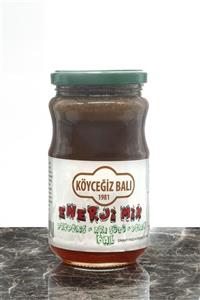 Köyceğiz Balı Enerjimix 450g Cam Kavanoz